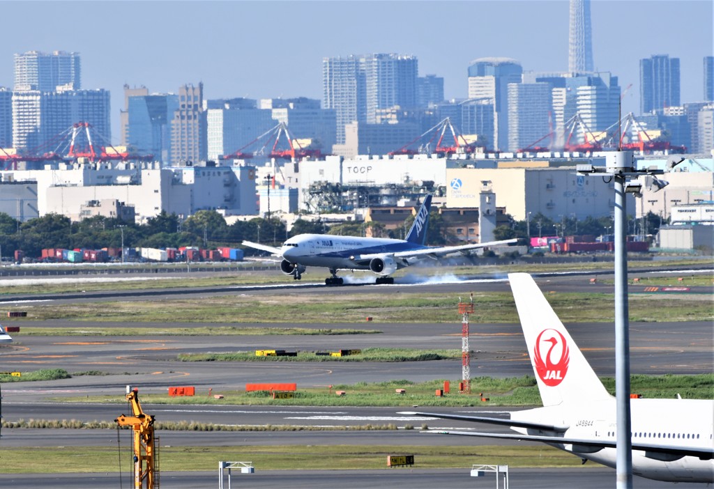 やっぱり、タッチダウンのスモークがいい。