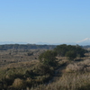 富士山３（続き）