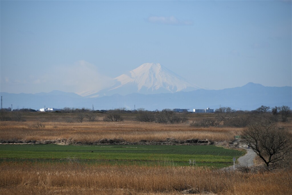 富士山