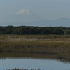 渡良瀬遊水地からの風景1