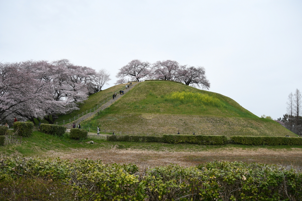 さきたま風土記の丘６