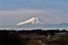 通勤途中にみる富士山２