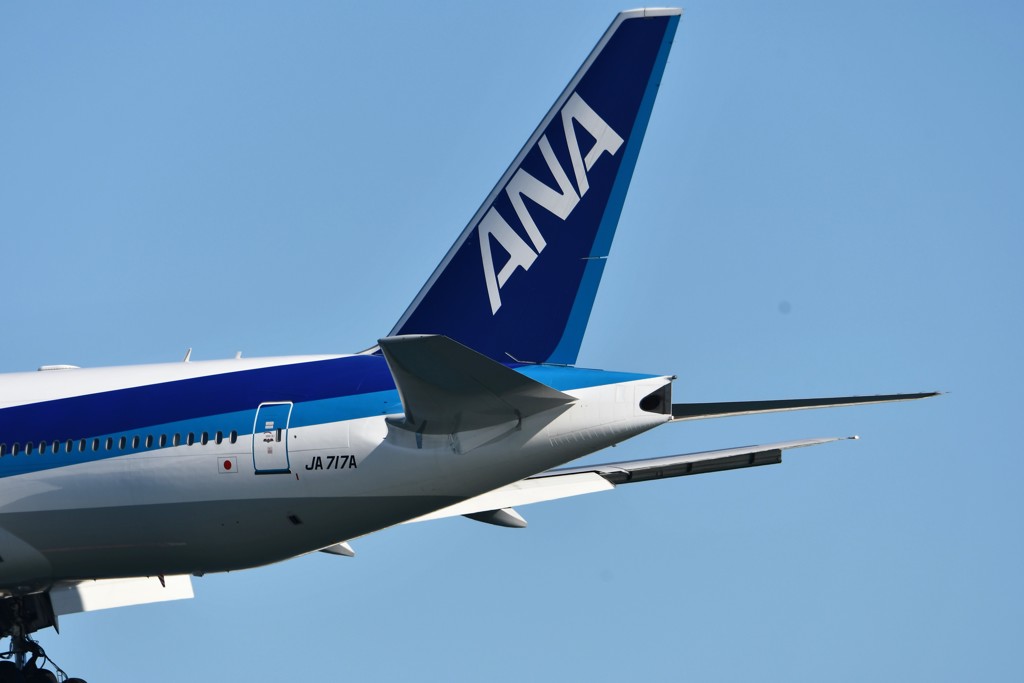 ANA B7 tail 717A