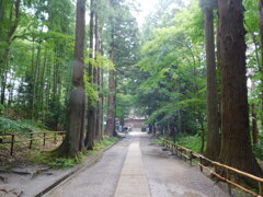 平泉・中尊寺２