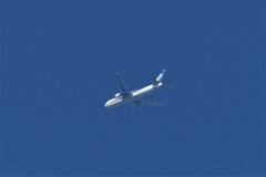 ANA Sapporo B767