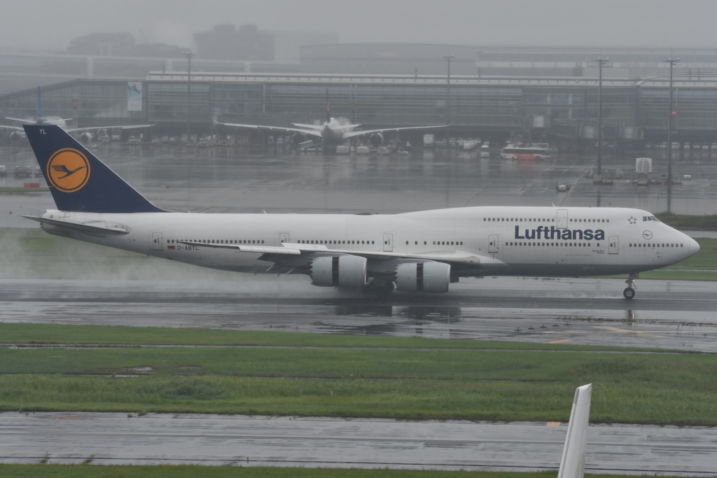 Lufthansa B4 雨のリバーサ