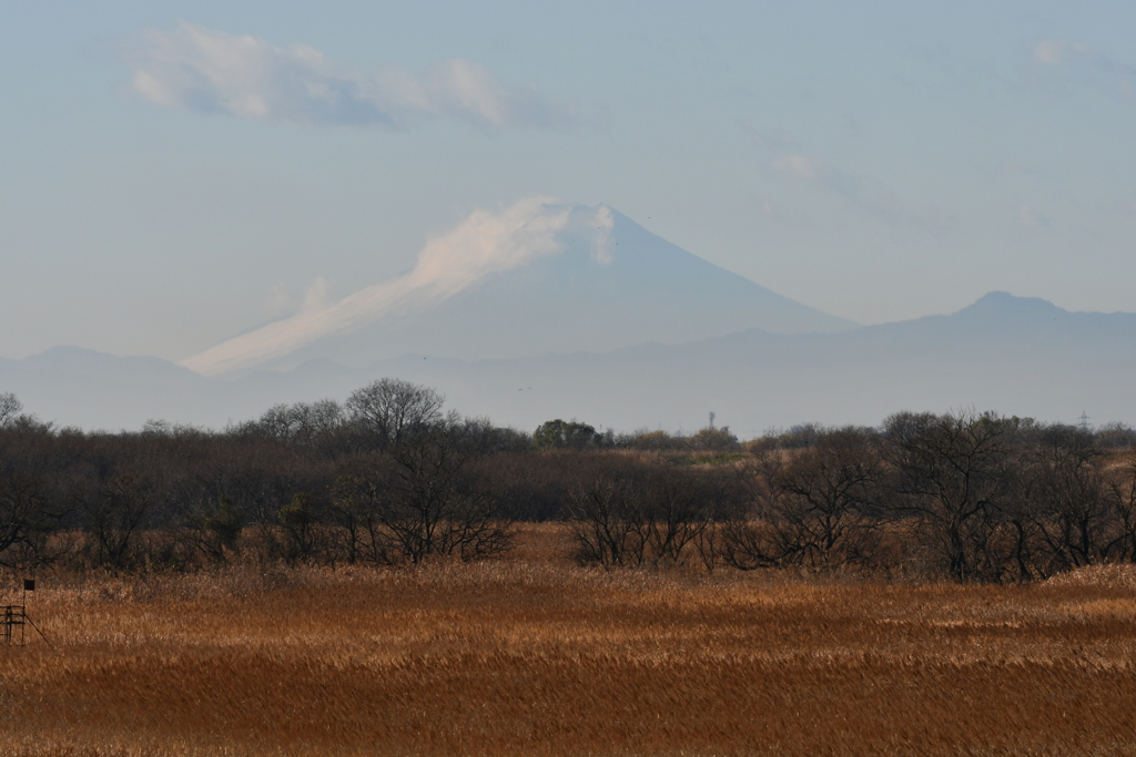 富士山１