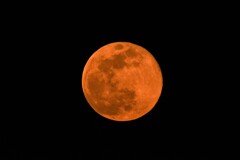 S-Moonの翌日１