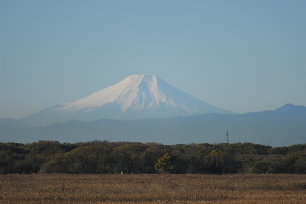 通勤途中の風景５