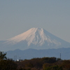 富士山５（通勤途中の風景８）
