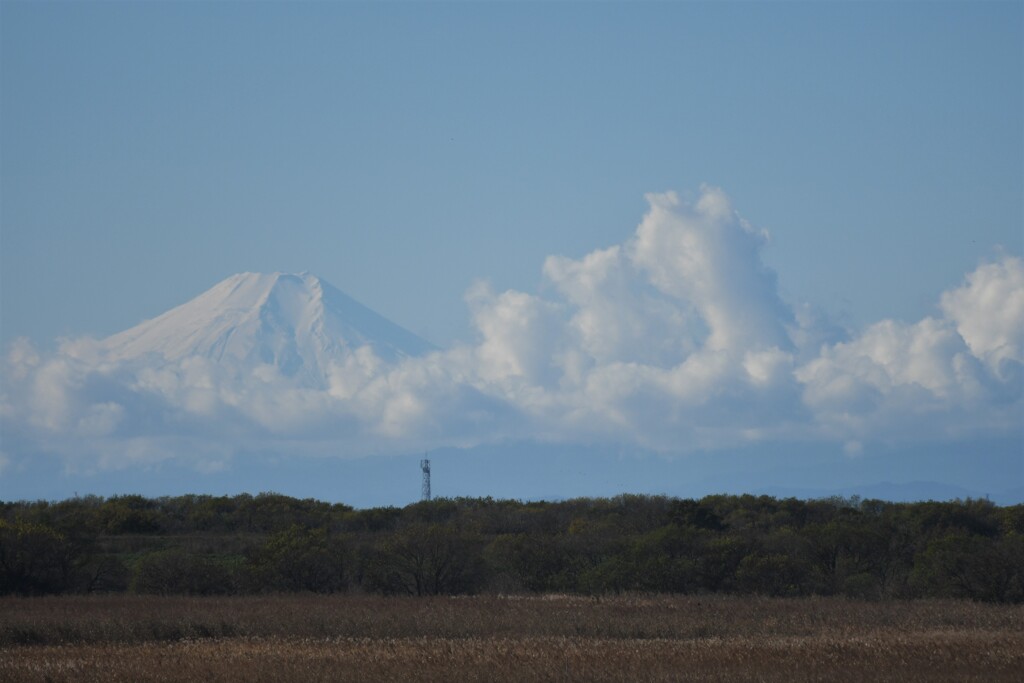 通勤途中の風景１