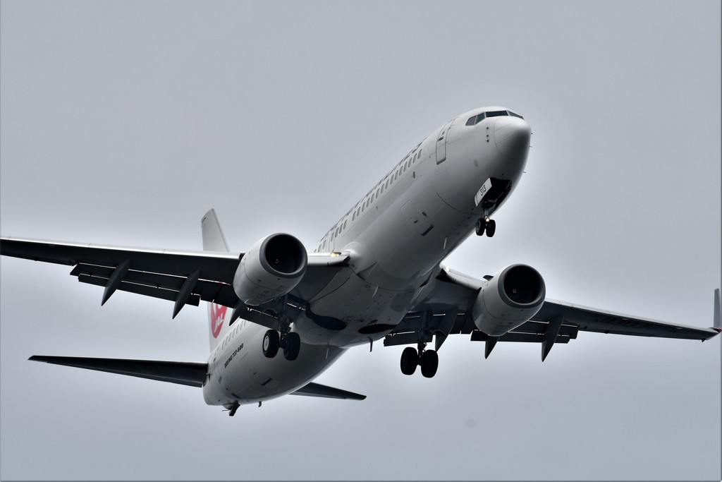 JAL B737 HND RWY22