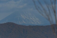 通勤途中の風景８