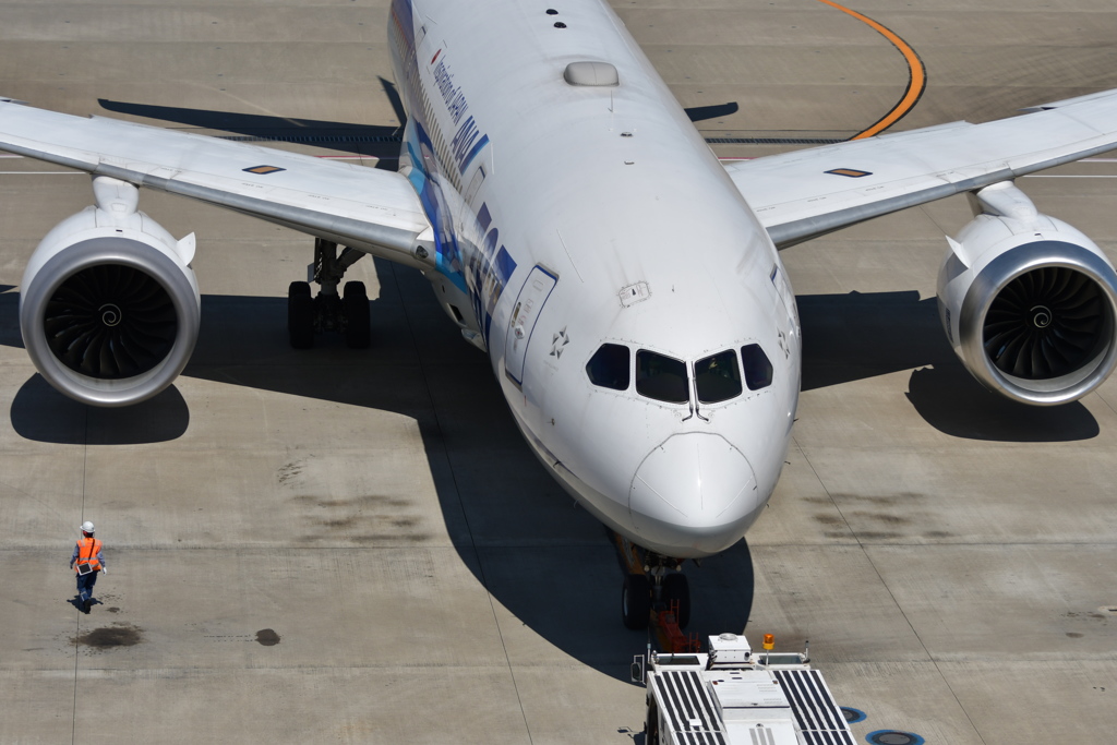 B787 プッシュ・バック