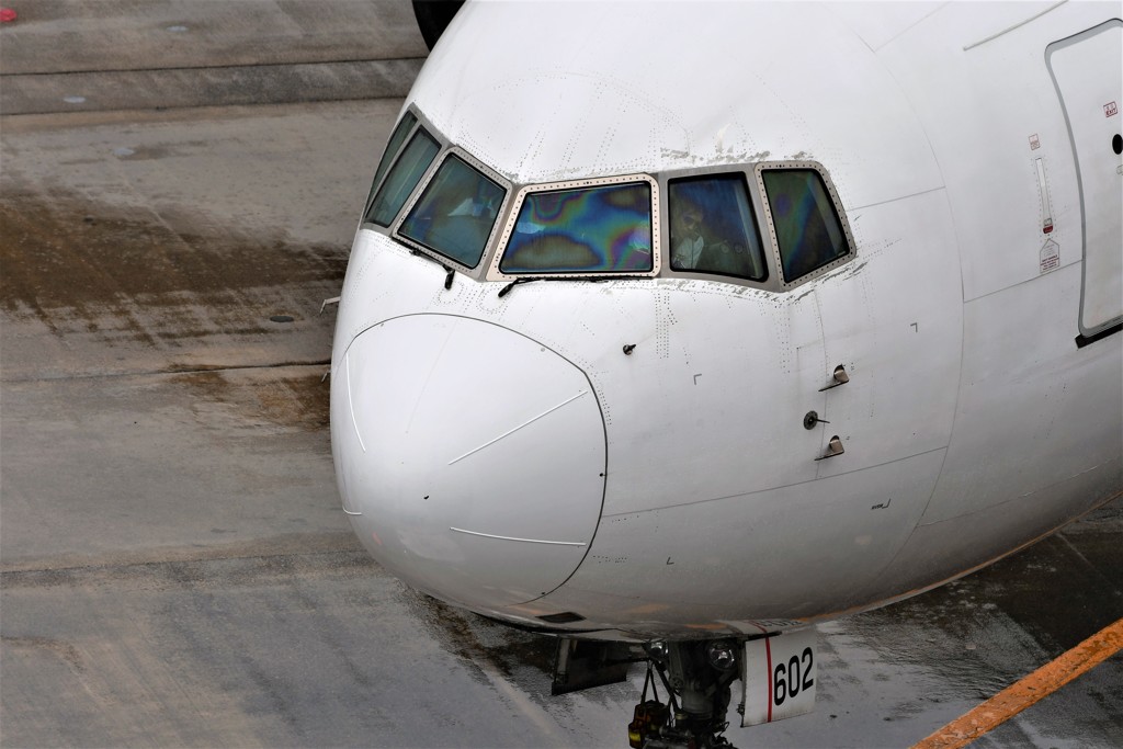 機長！　何か確認ですか？