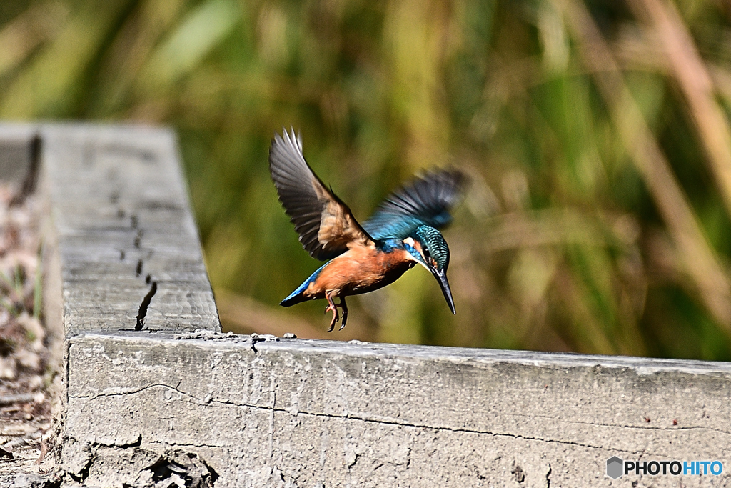 狙いを定めて～