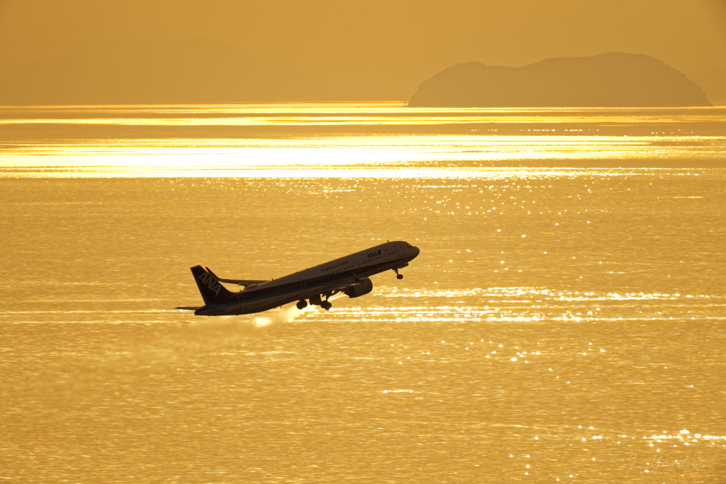 輝く海と飛行機と