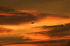 夕景 (2)