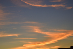 小牧での夕景 (3)