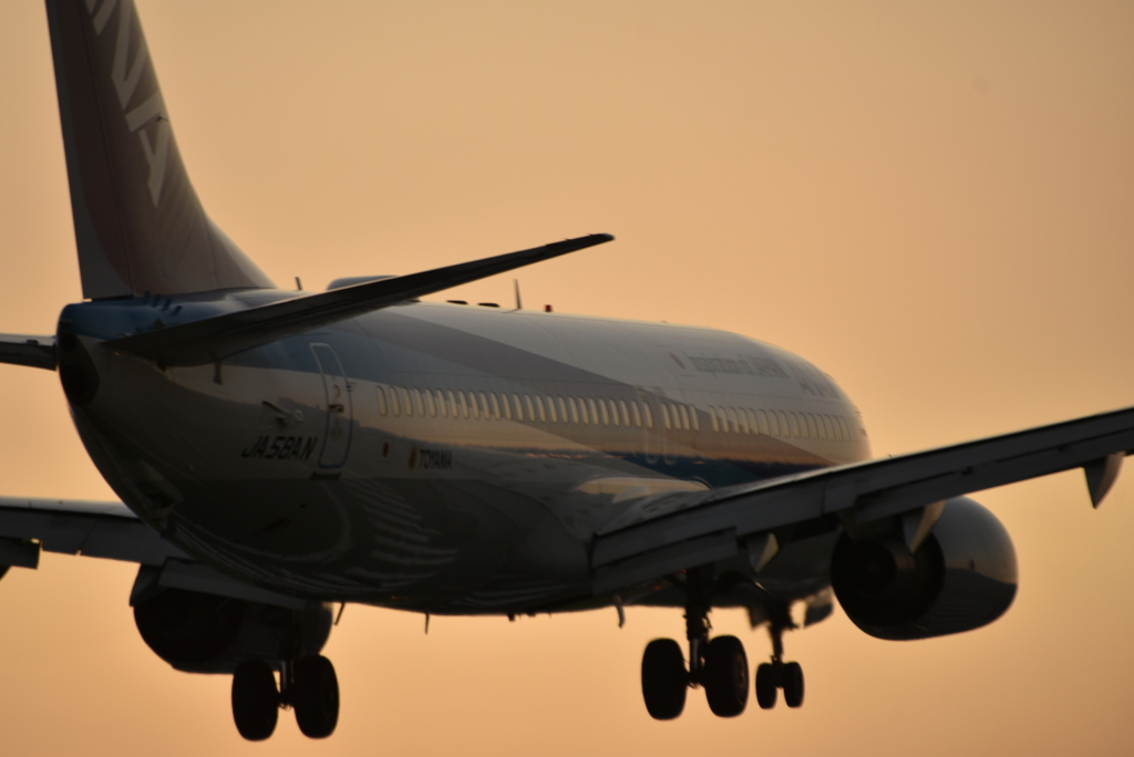 ピンク色の空と飛行機と