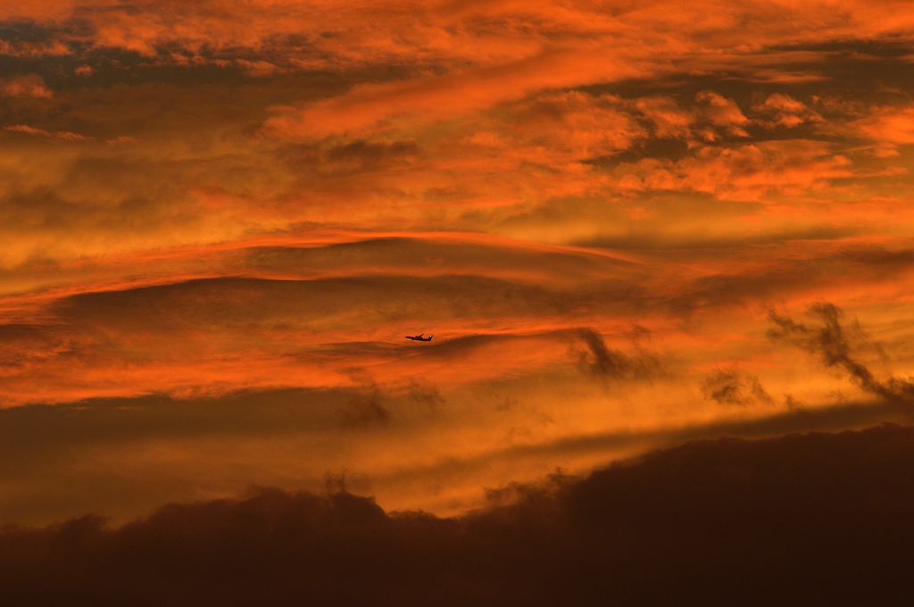 夕景 (4)