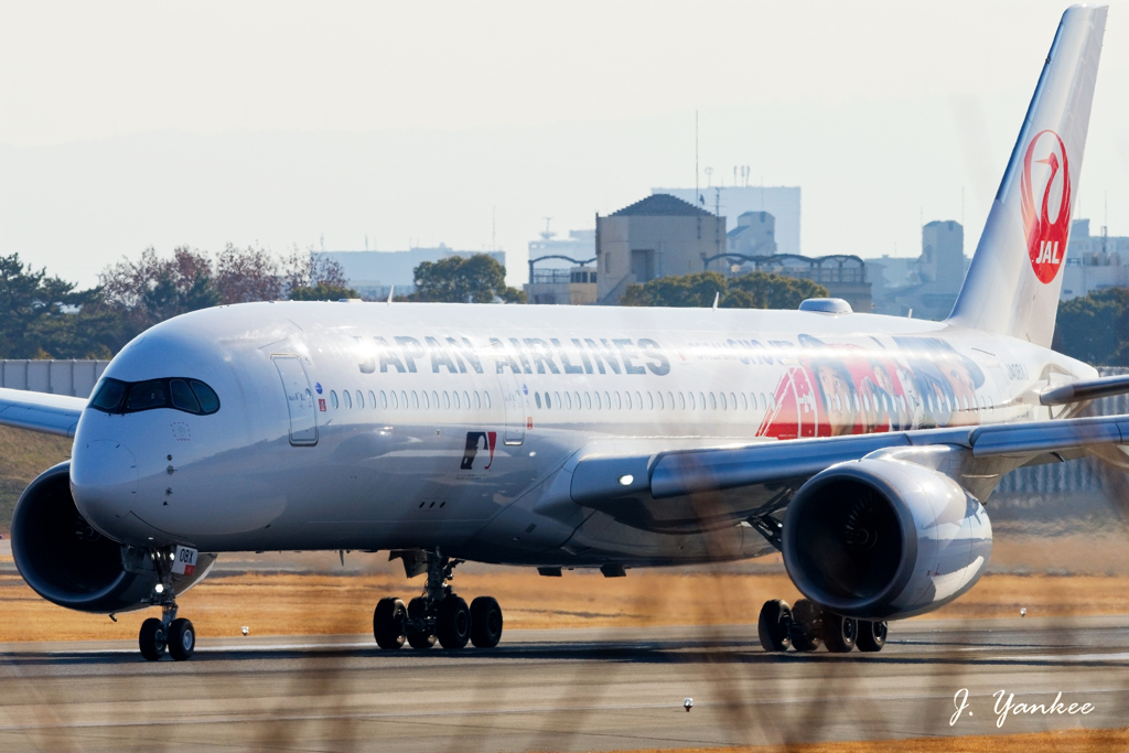 翔平JET(2)