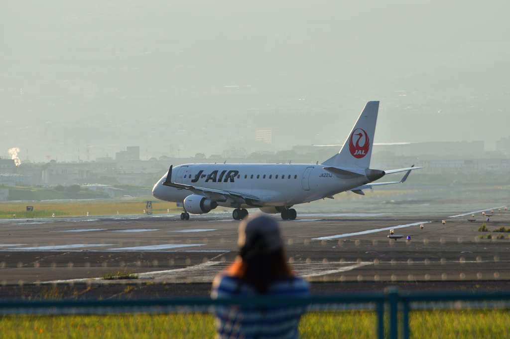 飛行機を見つめる姿を見つめる