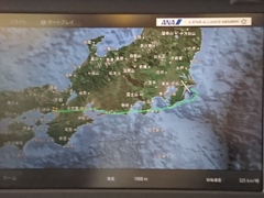 帰省フライトのルート