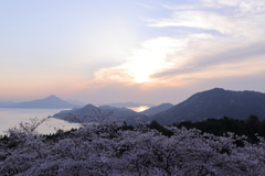 しまなみ海道　〜伯方島 開山公園の桜〜