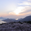 しまなみ海道　〜伯方島 開山公園の桜〜