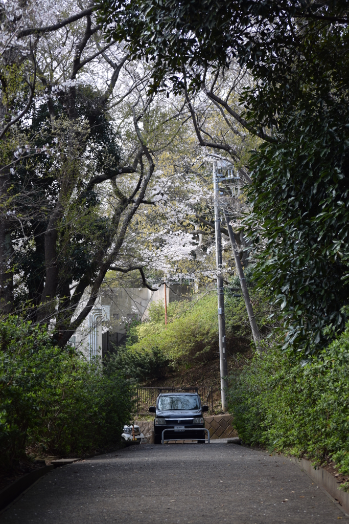 大田山公園