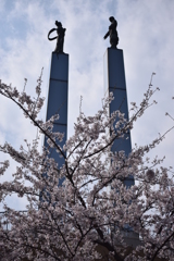 大田山公園