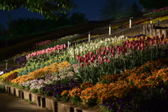 笛吹川フルーツ公園