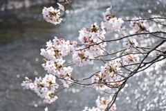矢那川公園