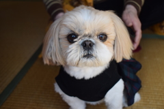 待てなう