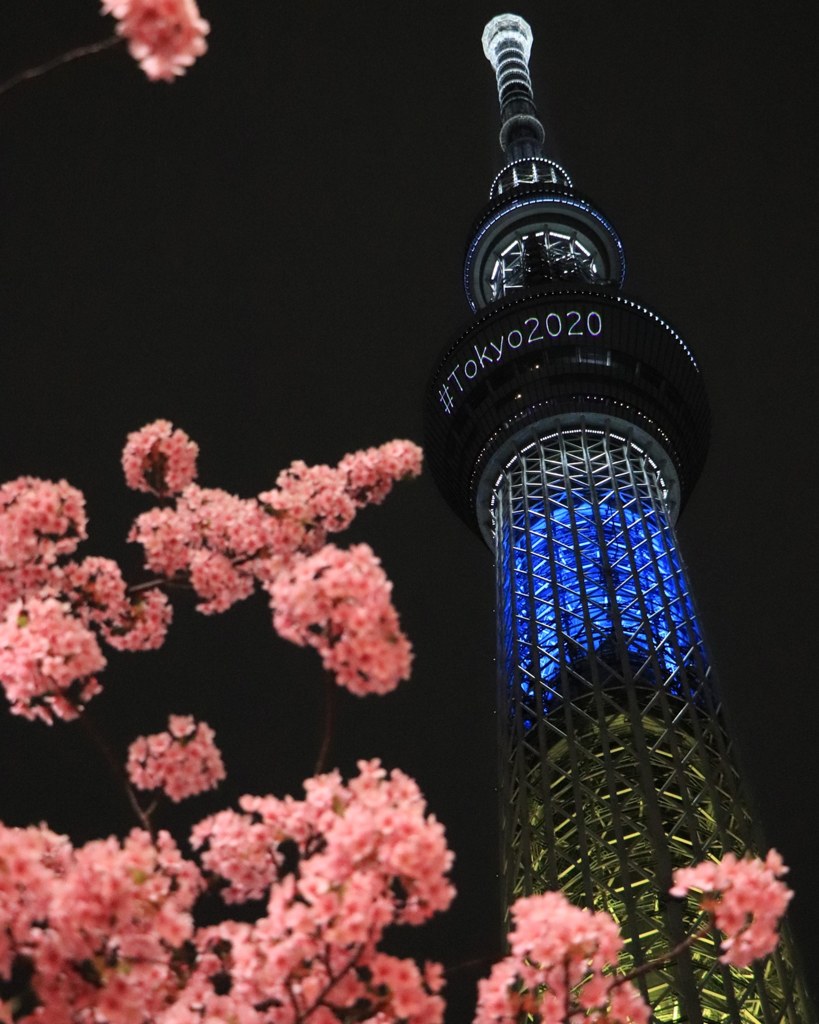 夜桜びより