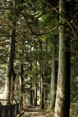 箱根にて4