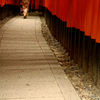 福岡にて2