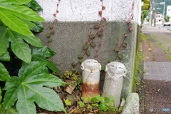 道端2