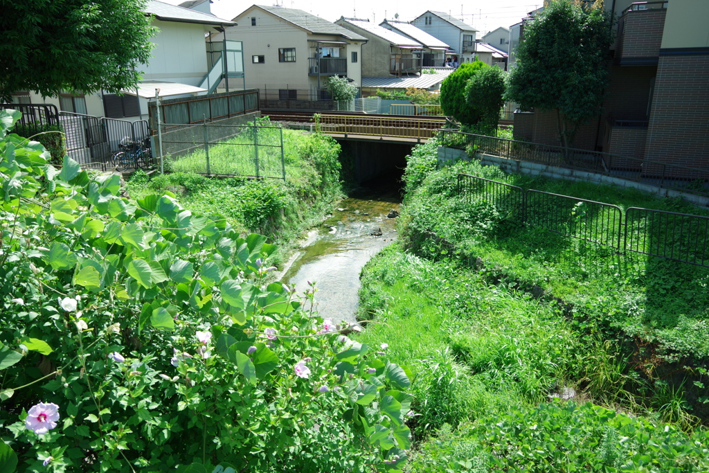 藤森の風景