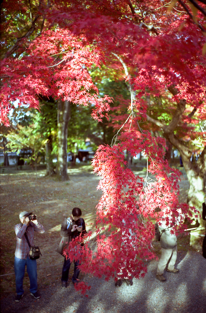 京都　南禅寺 2