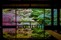 瑠璃光院②
