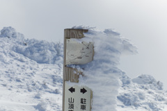 伊吹山2017