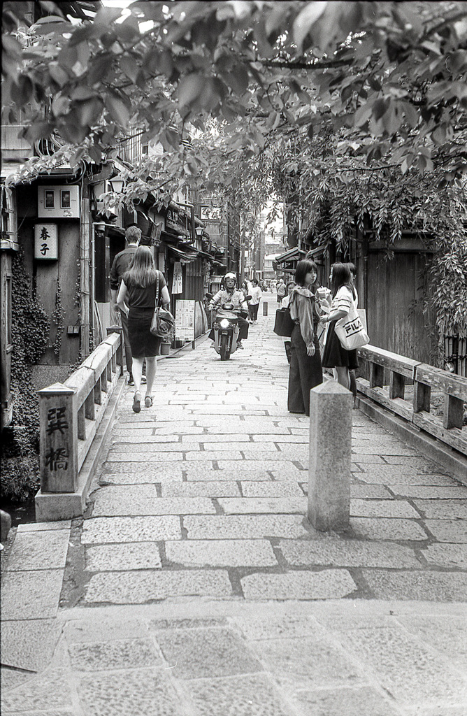 京都 祇園白川