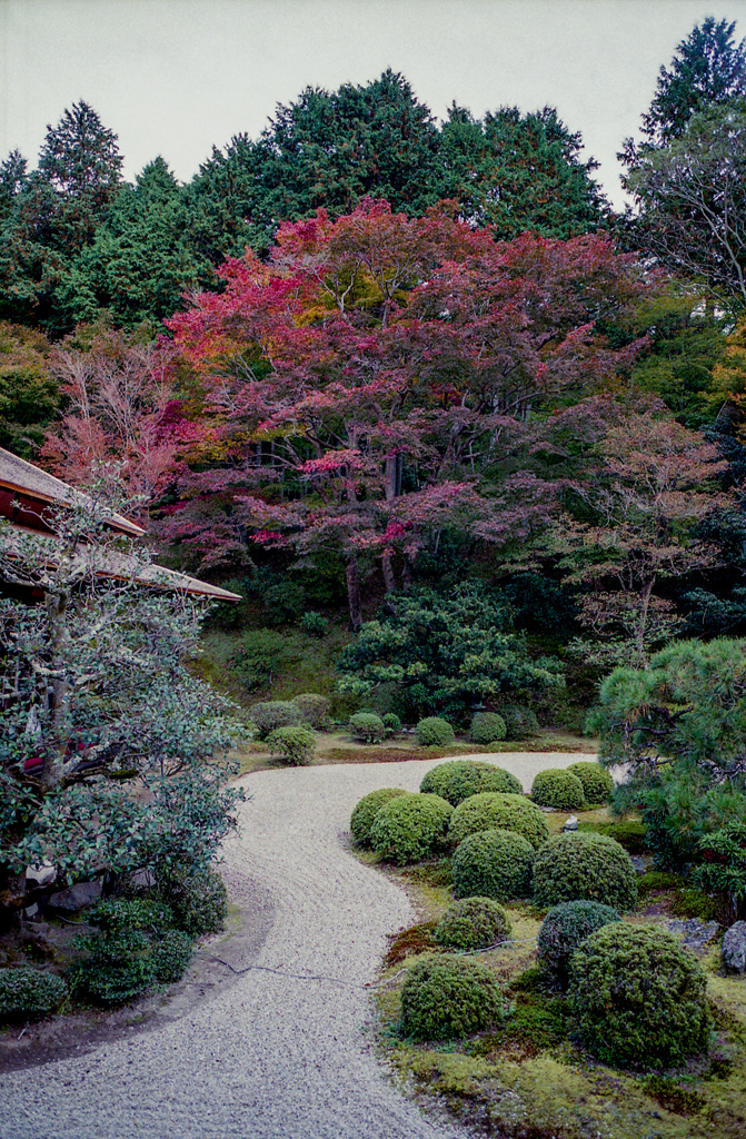 曼殊院②