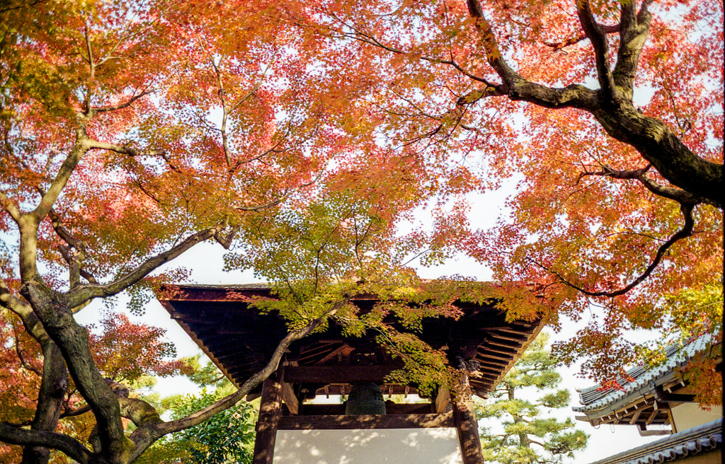 大徳寺