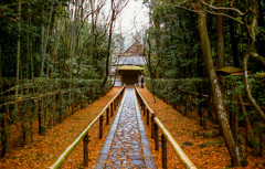 紫野高桐院