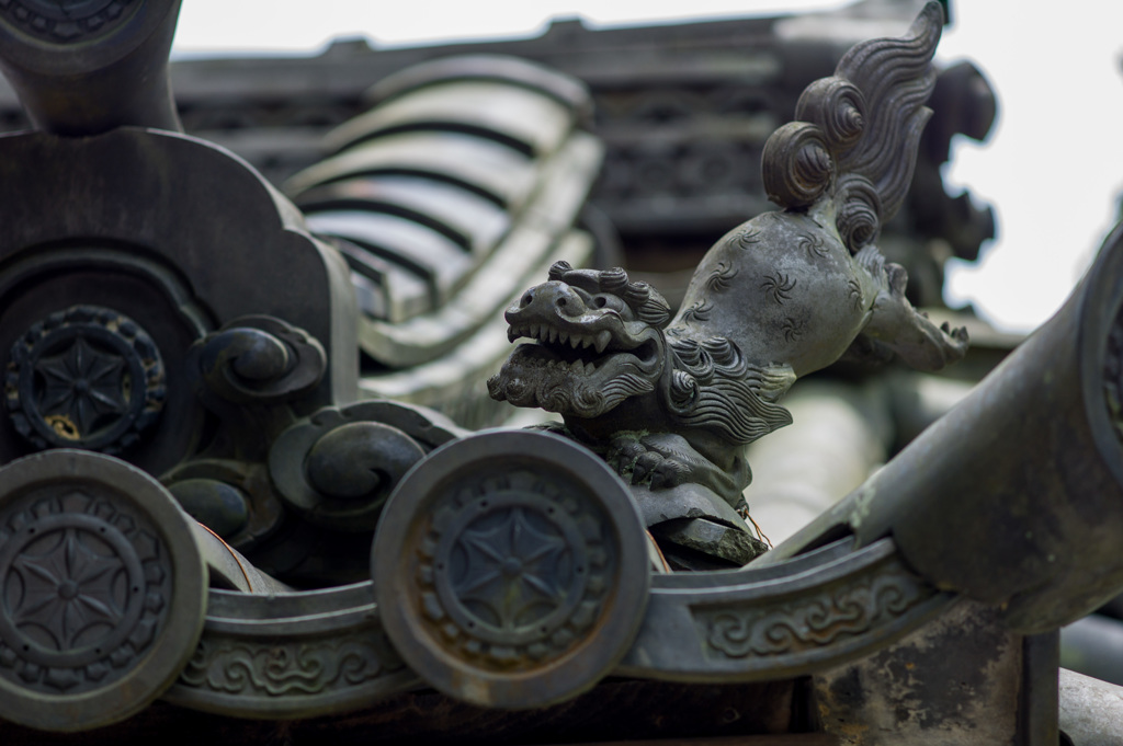 金閣寺 瓦