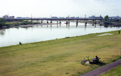 大和川