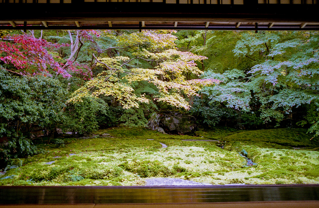 瑠璃光院③